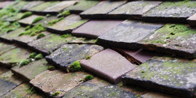 Cinderford roof repair costs